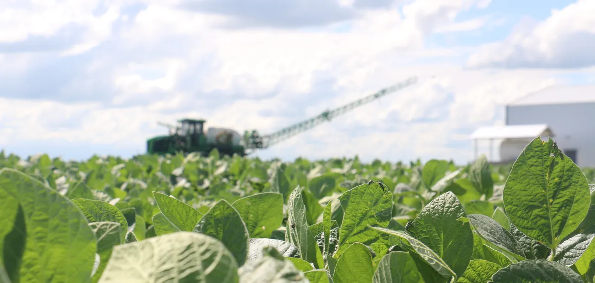 Pulverizadora en un cultivo de soja