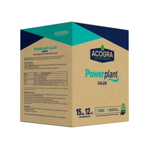 POWERPLANT CALCIO