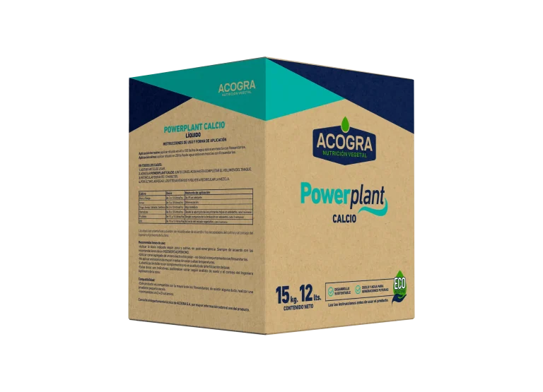 POWERPLANT CALCIO