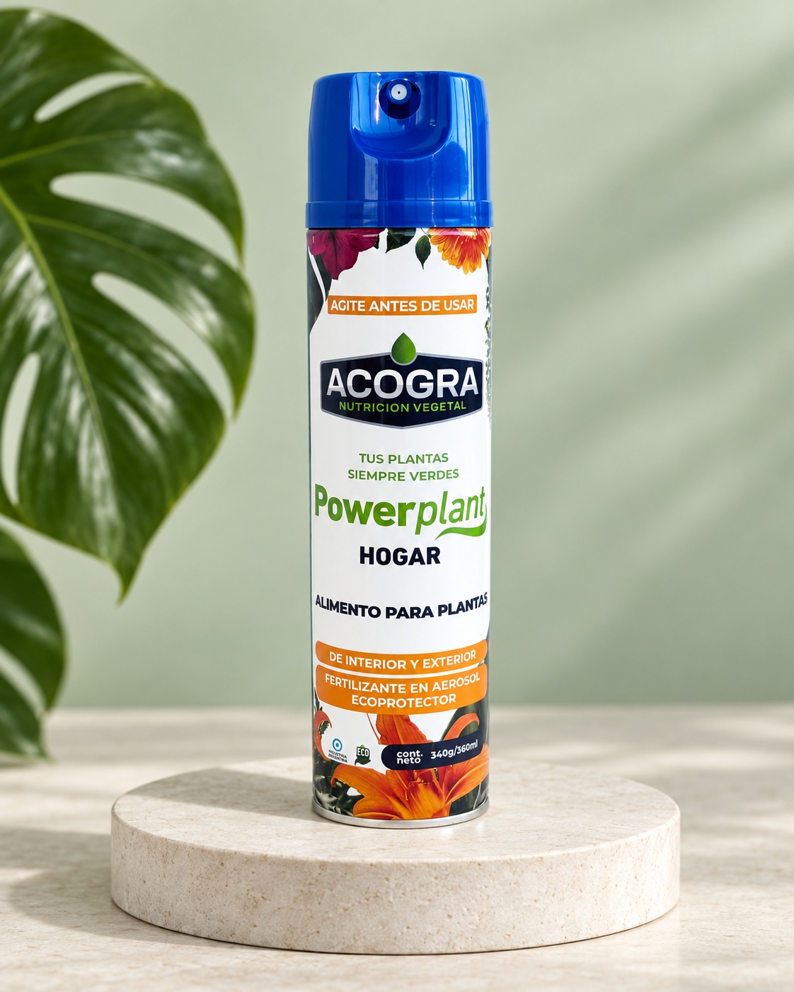 PowerPlant Hogar sobre una base de piedra clara junto a una hoja de monstera